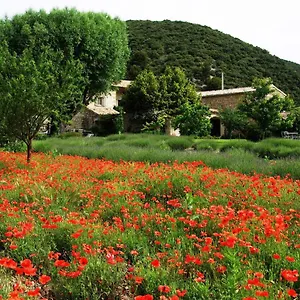 Bed & Breakfast Le Mas De La Fontaine